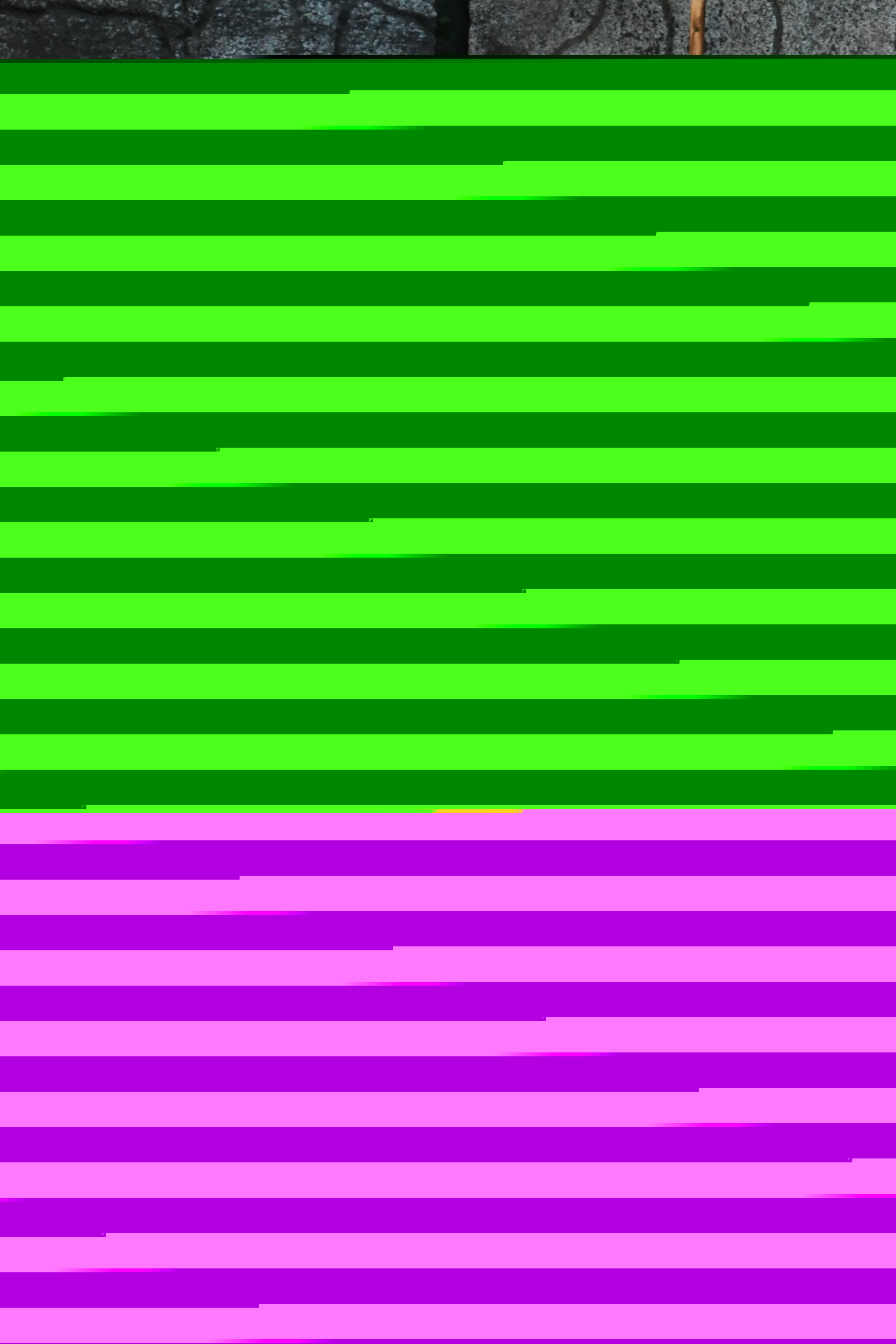 DSC_1357