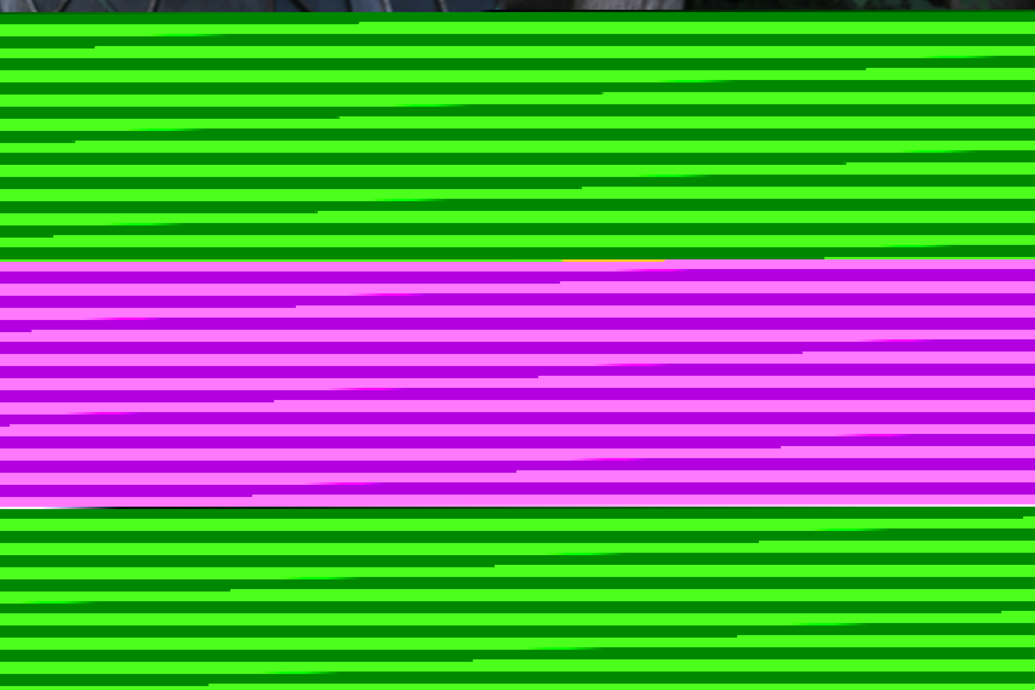 DSC_1390